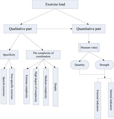 Application of conjugated materials in sports training